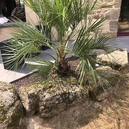 Prázdninový dům Entierement Renove Bord De Sevre