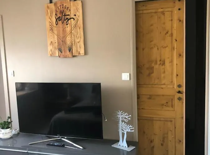 Entierement Renove Bord De Sevre *