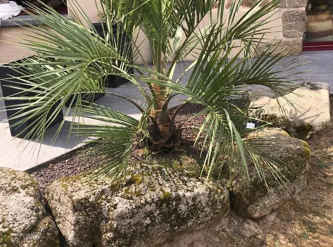 Σπίτι διακοπών Entierement Renove Bord De Sevre